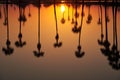 Reflection of sunrise and field of sugar palm trees