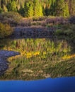 Reflection Below the Beaver Dam