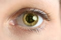 Reflection of bitcoin in female eye, closeup Royalty Free Stock Photo