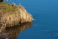 Reflection of a blue sky in a creek with thawed water in the spring April forest at sunset.