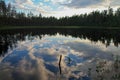 Sky and clouds are reflected in forest lake Royalty Free Stock Photo