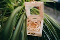 Reflection of the bride and groom in the mirror of wooden box with golden wedding rings which stands on the grass Royalty Free Stock Photo