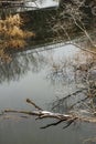 Reflection of a bridge in the water of the Golyama Kamchia river