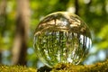 Reflection of bright green forest, leaves, trees and moss inside lensball Royalty Free Stock Photo