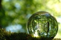 Reflection of bright young green spring leaves, trees, moss and sunshine inside lensball. Sparkling yellow green bokeh are in the