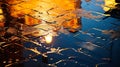 Reflection of a Building in a Puddle of Water Royalty Free Stock Photo