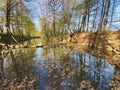 Reflection on calm river in Rezavka Royalty Free Stock Photo