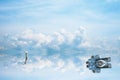 reflection car was parking and bird stand on dry tree on water of lake and blue sky and white cloud Royalty Free Stock Photo