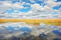 reflection of clouds on the glasslike wetland water Royalty Free Stock Photo