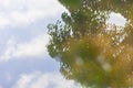 The reflection of clound and sky with tree