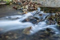 Reflection of coastal trees in the water surface of the pond. Royalty Free Stock Photo