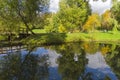 Reflection of coastal trees in the water surface of the pond. Royalty Free Stock Photo