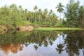 Reflection of coconut palm trees around the pond Royalty Free Stock Photo