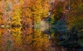 Reflection of colorful autumn trees in a lake Royalty Free Stock Photo