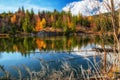 Reflection of coniferous trees on a surface of the water. Tarn Rakytovske pliesko in High Tatras mountains in Slovakia Royalty Free Stock Photo