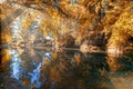 Reflection of Crabtree Creek in Fall Season Oregon Royalty Free Stock Photo