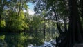 Reflection of the cypress forest in turquoise crystal clear waters of the lagoon of Ginnie Springs, Florida. USA