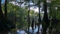 Reflection of the cypress forest in turquoise crystal clear waters of the lagoon of Ginnie Springs, Florida. USA