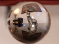 The reflection of a donkey on a glass ball Royalty Free Stock Photo