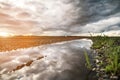 The reflection of the dramatic sky in a puddle on the side of a country road in the late evening next to green grass and