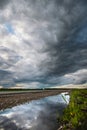 The reflection of the dramatic sky in a puddle on the side of a country road in the late evening next to green grass and