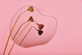 Reflection of dry natural leaf flower on asymmetric free form mirror, Water raindrop mirror reflect on pink pastel background.