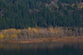 Reflection of fall colours on a calm river Royalty Free Stock Photo