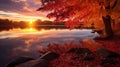 reflection fall evening pond landscape