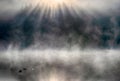 Reflection of the first rays of the sun in a misty forest lake