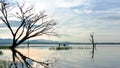 Reflection fisherman action when fishing net with dry alone tree on the boat in the lake outdoors Royalty Free Stock Photo