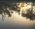 Reflection on the flat water surface of the lake of trees and the dawn sun Royalty Free Stock Photo