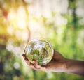 Reflection of a forest in glass ball held in hand Royalty Free Stock Photo