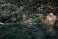 reflection of the forest trees in the calm and transparent waters of the hidden and inaccessible lake among the rocks