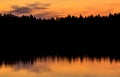 Reflection of forrest in the water, sunset silhouette, golden ho