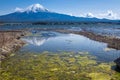 Reflection of Fujisan Mountain in spring, Kawaguchiko lake, Japan