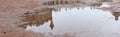 Reflection of Gatchina Palace in puddles