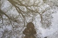 Reflection of a girl in a jacket with a hood in a puddle of water with trees on the background. A girl make photo in the puddle. A Royalty Free Stock Photo