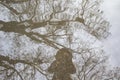 Reflection of a girl in a jacket with a hood in a puddle of water with trees on the background. A girl make photo in the puddle. A Royalty Free Stock Photo