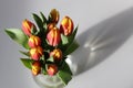 Reflection of glass vase with fresh bouquet of colourful tulips.