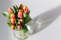Reflection of glass vase with fresh bouquet of colourful tulips.