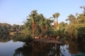 The reflection of green bushes behind the pure water lake view in the Winter time-and dates palm tree fence Royalty Free Stock Photo