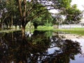 The reflection of green trees and buildings in the water.