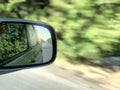 Reflection of green trees and road in car side mirror. Royalty Free Stock Photo
