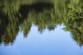 Reflection of green trees on the water surface Royalty Free Stock Photo