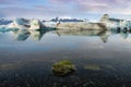 Reflection of ice cubes with moss rock foreground at Jokulsarlon Glacier Lagoon