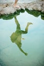 Reflection of a jumper over the cliff on the beach Royalty Free Stock Photo