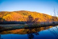 Lake in the fall in Cape Breton Royalty Free Stock Photo