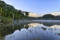 Reflection in Lake Kaniere Royalty Free Stock Photo