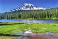 Reflection Lake Paradise Mount Rainier National Park Washington Royalty Free Stock Photo