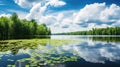 reflection lake scene